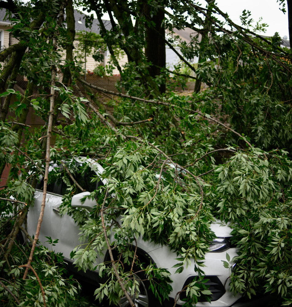Storm Damage