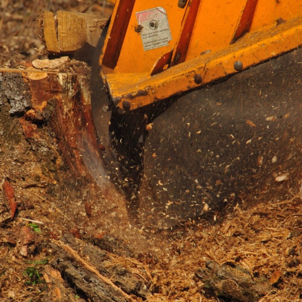 Stump grinding