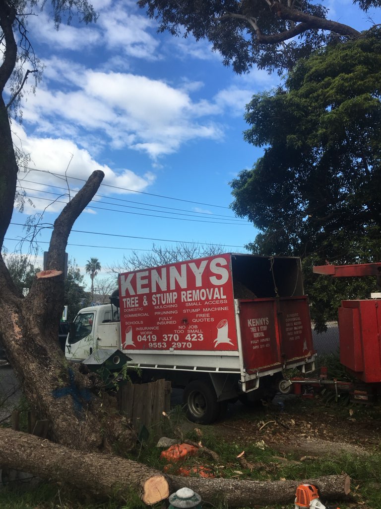 Kenny's Tree & Stump Removal truck